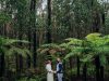 Forest Weddings