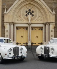 White Classic Jags