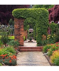 Villa Rao of Sassafras