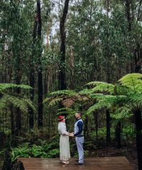 Forest Weddings